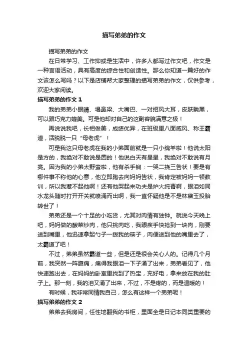 描写弟弟的作文