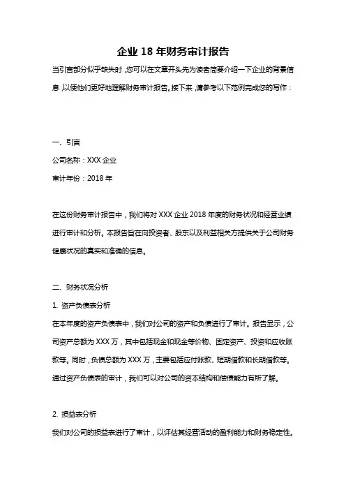 企业18年财务审计报告