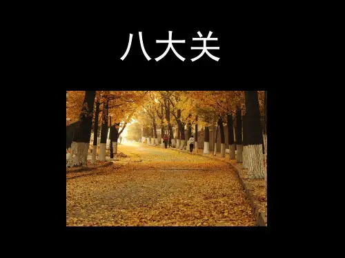 八大关-调查分析讲课讲稿