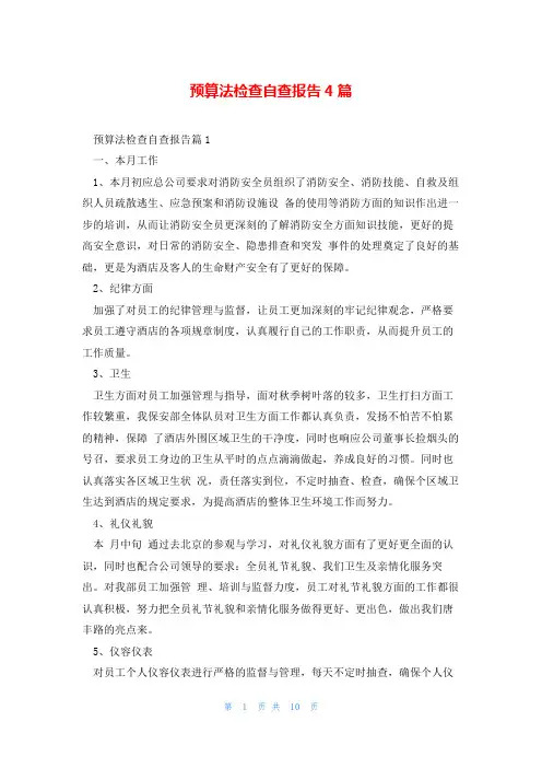 预算法检查自查报告4篇