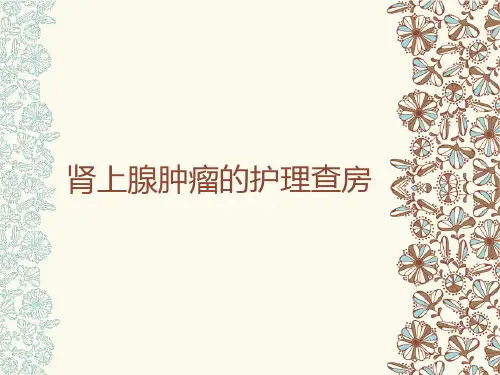 肾上腺肿瘤的护理查房