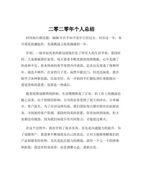 二零二零年个人总结