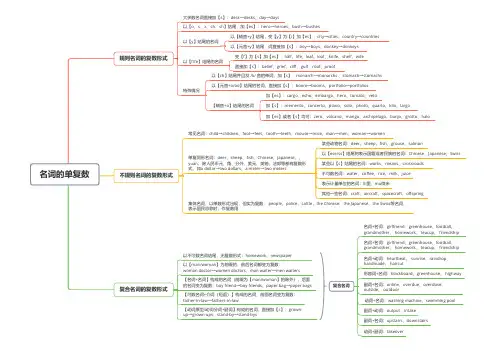 1.3-名词的单复数：英语语法思维导图(初中-大学)
