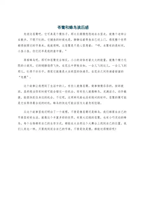 苍鹭和蜂鸟读后感