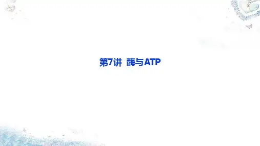 第7讲 酶与ATP-考点三 ATP的结构与功能