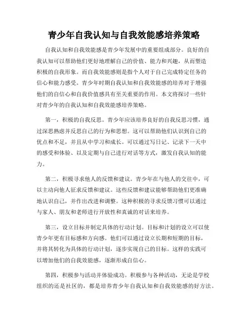 青少年自我认知与自我效能感培养策略