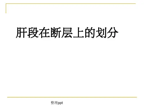 肝段断层解剖