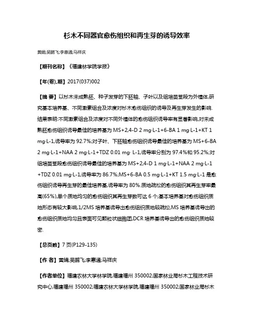 杉木不同器官愈伤组织和再生芽的诱导效率