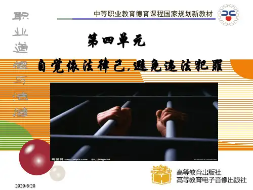 《职业道德与法律课件》第九课 预防一般违法行为