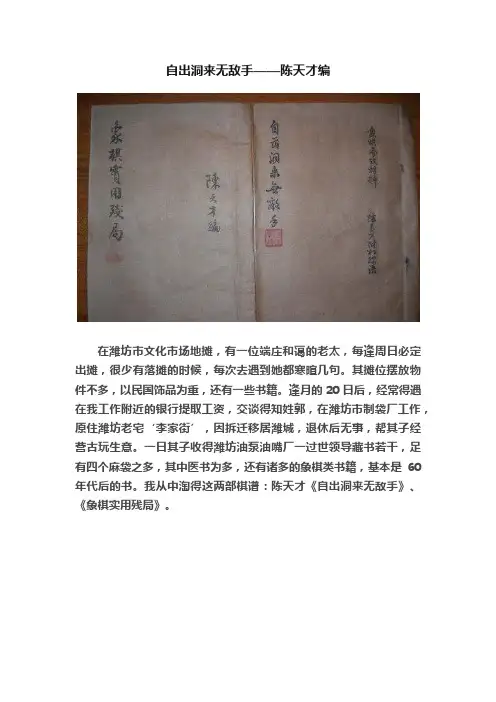 自出洞来无敌手——陈天才编