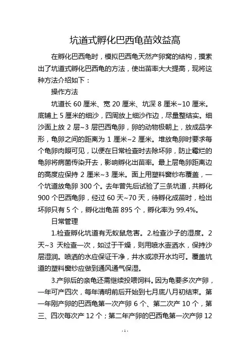 坑道式孵化巴西龟苗效益高