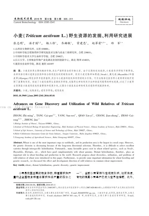 小麦(Triticum aestivum L.)野生资源的发掘、利用研究进展