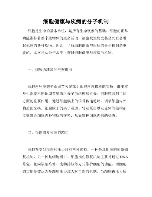 细胞健康与疾病的分子机制