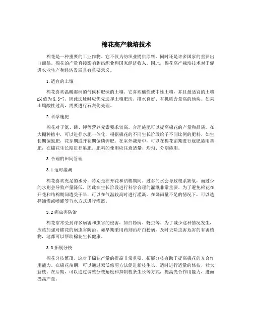 棉花高产栽培技术