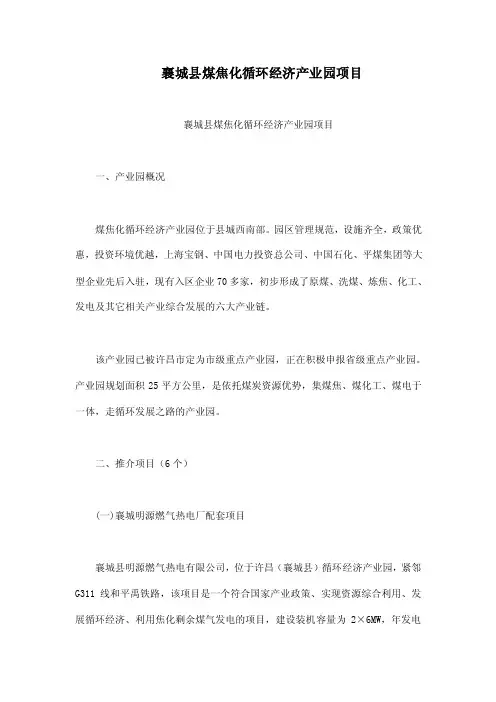 襄城县煤焦化循环经济产业园项目