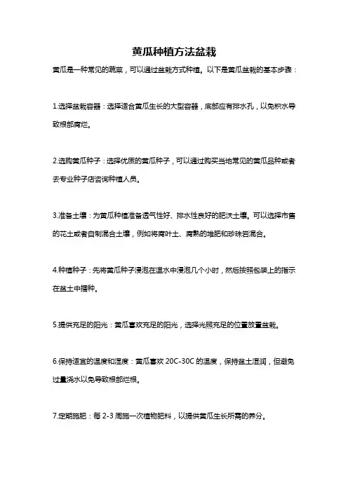 黄瓜种植方法盆栽