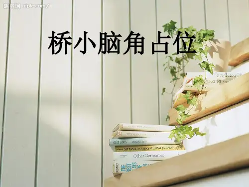 桥小脑角占位