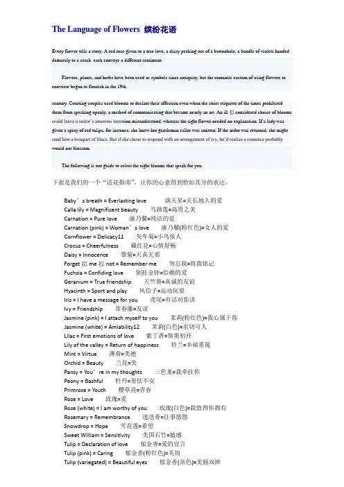 The Language of Flowers 缤纷花语