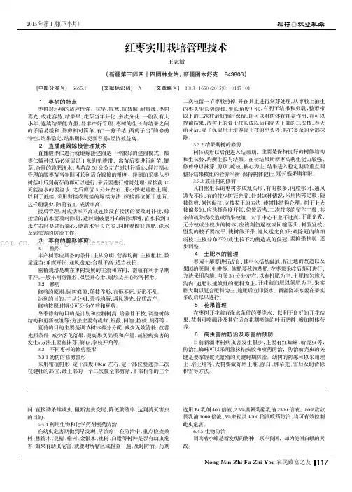 红枣实用栽培管理技术