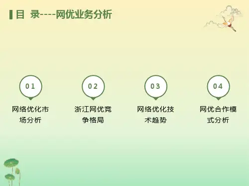 电信网优业务分析
