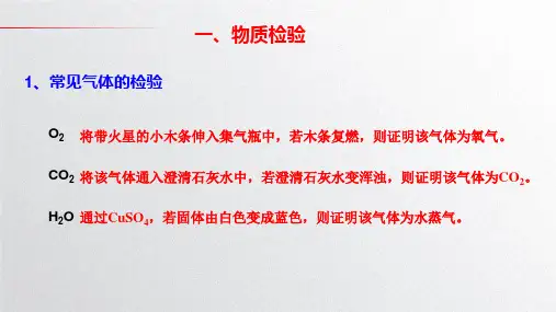 2024年中考化学一轮复习第5讲+物质检验、鉴别、除杂