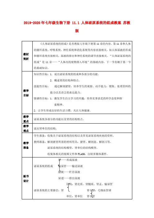 2019-2020年七年级生物下册 11.1 人体泌尿系统的组成教案 苏教版