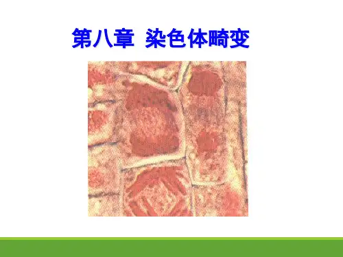 遗传学 第八章 染色体畸变