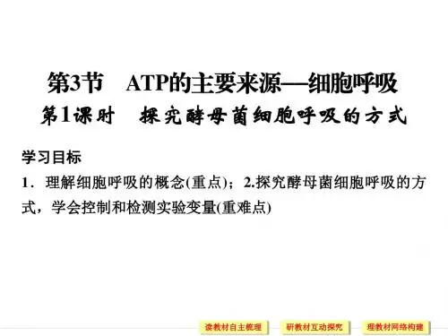 高中生物人教版必修一课件：5.3.1 探究酵母菌细胞呼吸的方式