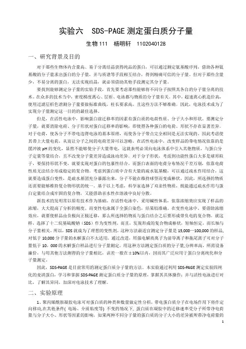 实验六  SDS实验报告