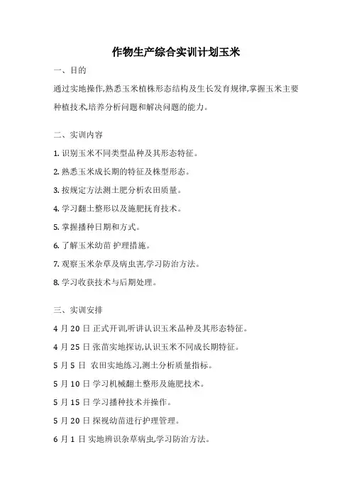 作物生产综合实训计划玉米