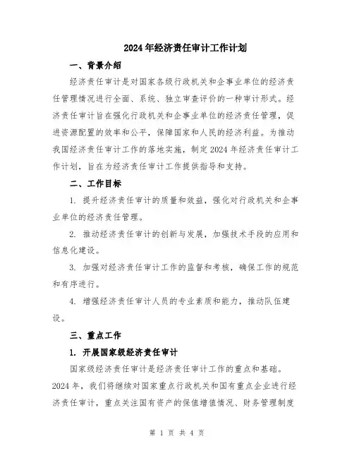2024年经济责任审计工作计划