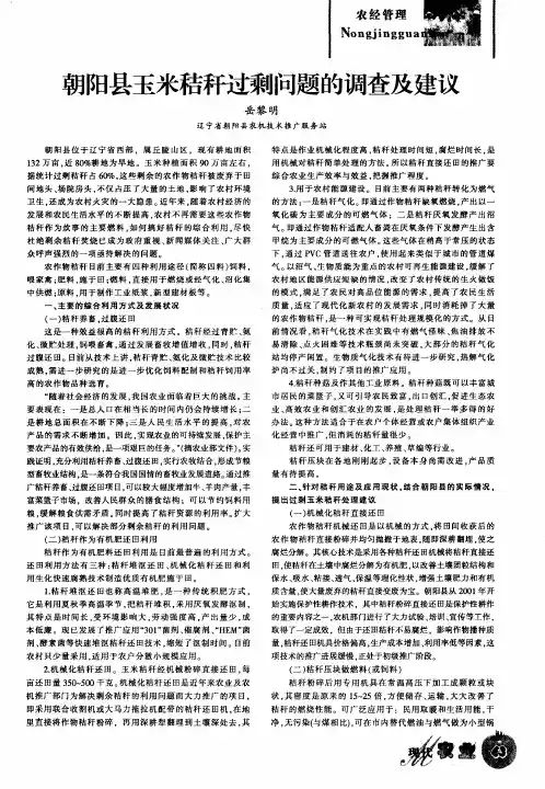 朝阳县玉米秸秆过剩问题的调查及建议