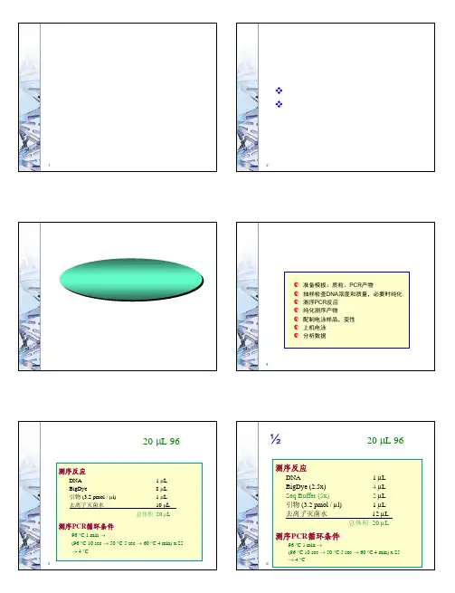 2.DNA测序反应优化