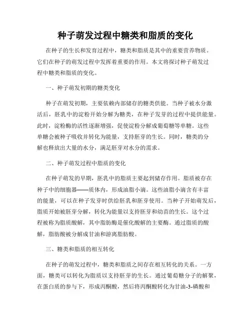 种子萌发过程中糖类和脂质的变化