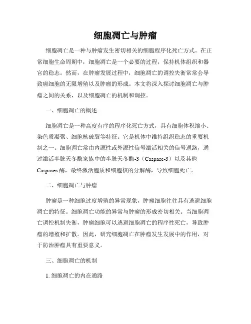 细胞凋亡与肿瘤
