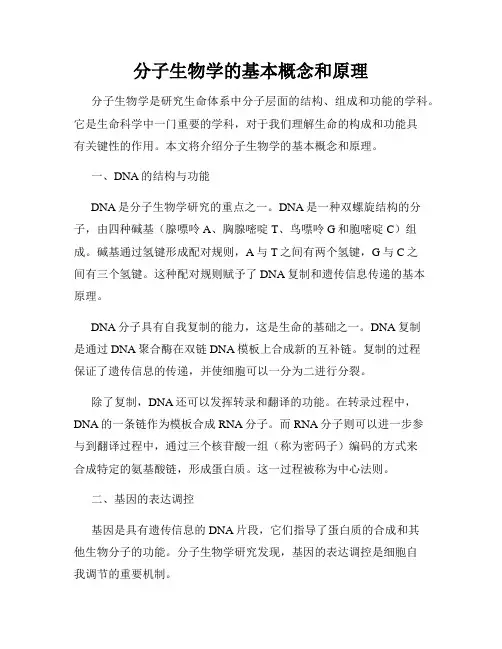 分子生物学的基本概念和原理
