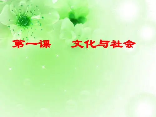 文化与社会PPT教学课件