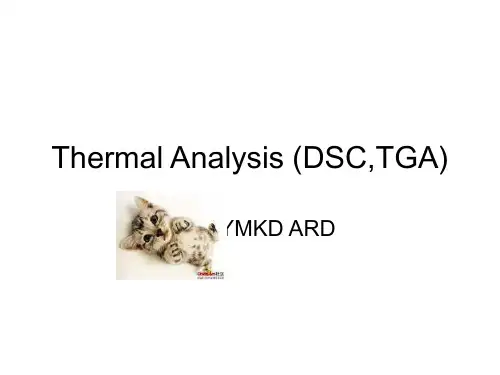 热重分析仪 TGA DSC