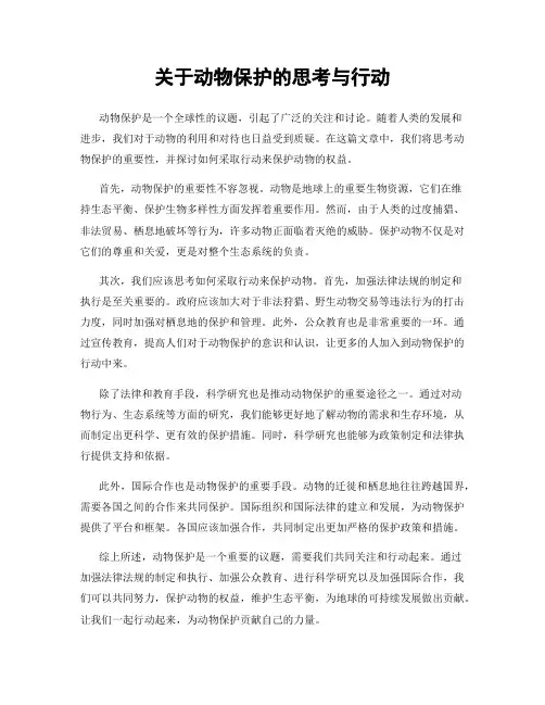 关于动物保护的思考与行动