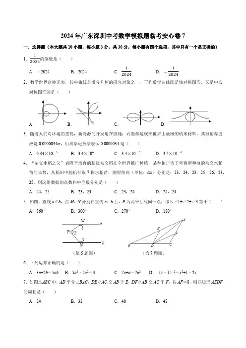 2024年广东省深圳市中考数学模拟题临考安心卷(含解析)