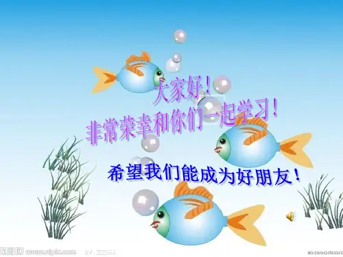 鱼的纹样 PPT