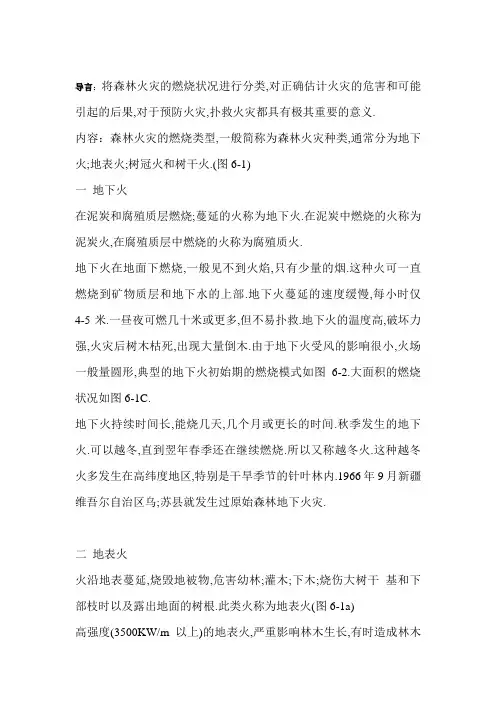 森林火灾的燃烧类型