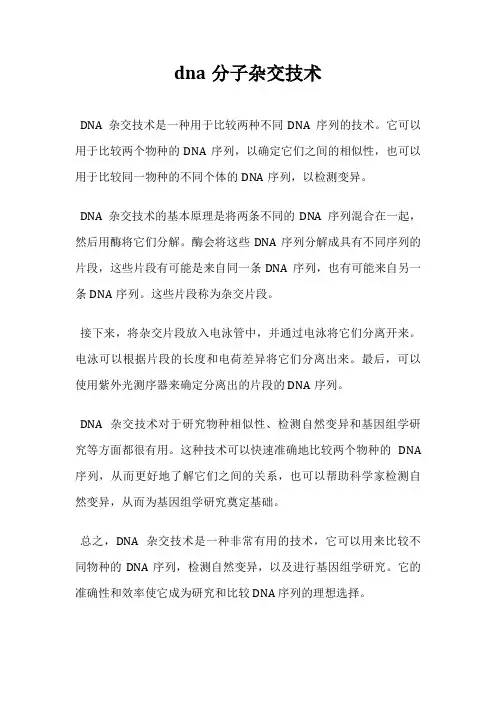 dna分子杂交技术