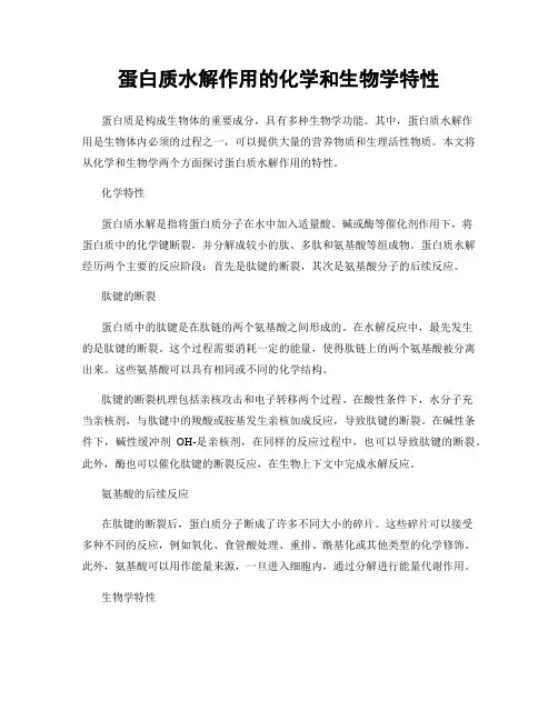蛋白质水解作用的化学和生物学特性