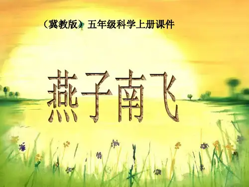 五年级上册科学课件燕子南飞丨冀教版 (共15页)PPT