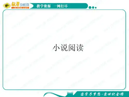 2012高考语文复习课件：小说阅读