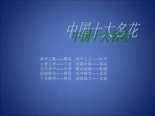 中国十大名花剖析