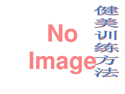 健美训练方法