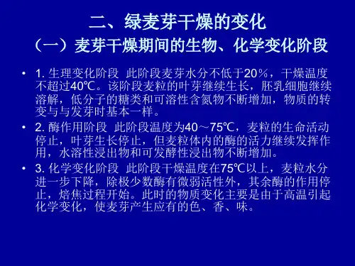 啤酒生产工艺学