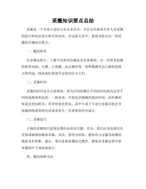 采薇知识要点总结